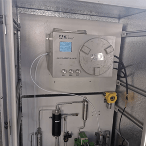 氧氣高濃度在線監(jiān)測分析儀 氧氣高濃度在線監(jiān)測分析儀